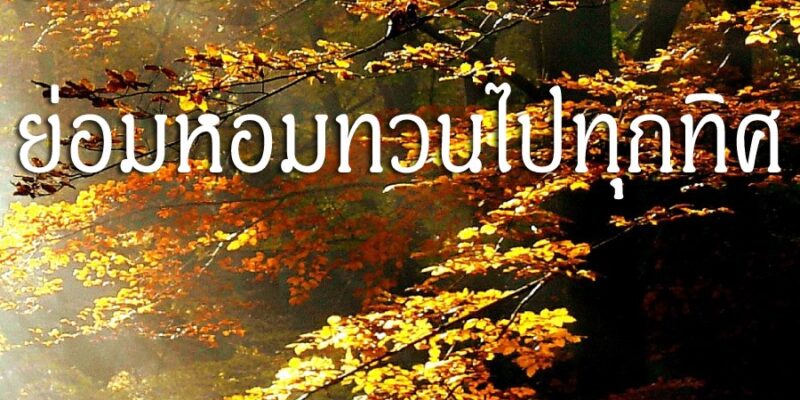 คนดี ย่อมหอมทวนไปทุกทิศ