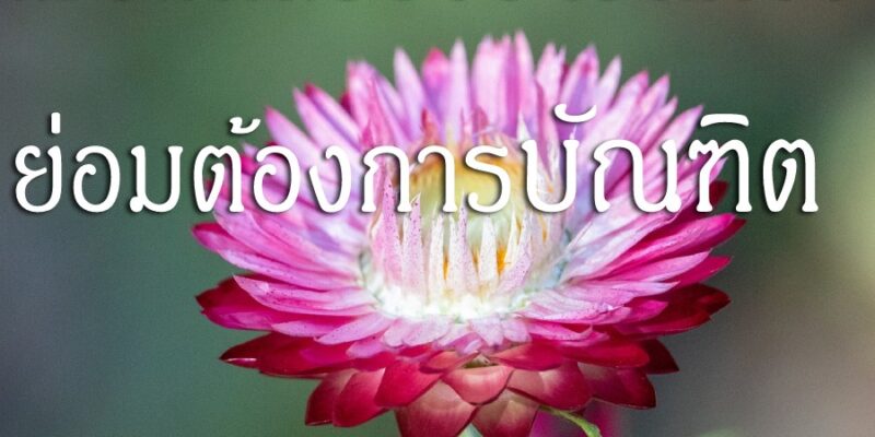 เมื่อเกิดเรื่องราวลึกซึ้ง ย่อมต้องการบัณฑิต