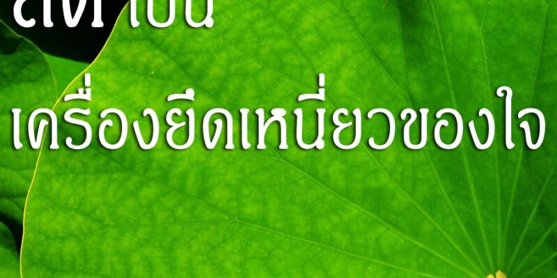 สติ เป็นเครื่องยึดเหนี่ยวของใจ