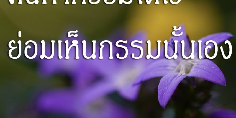 คนทำกรรมใดไว้ ย่อมเห็นกรรมนั้นเอง