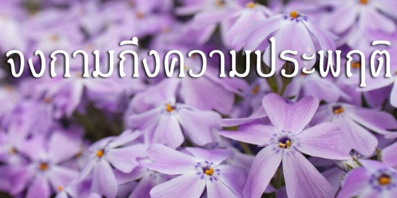 อย่าถามถึงชาติกำเนิด จงถามถึงความประพฤติ