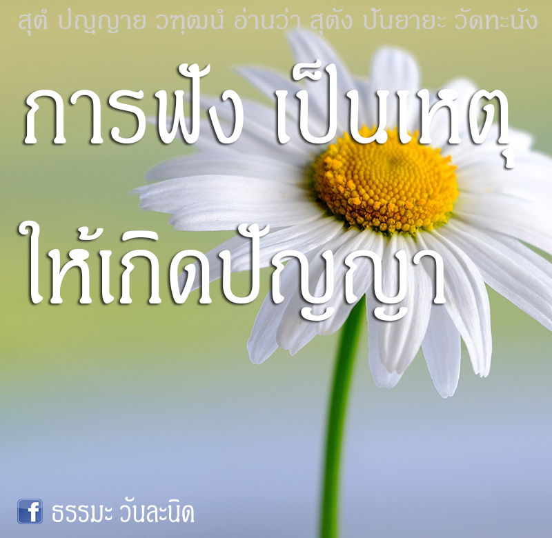 การฟังเป็นเหตุให้เกิดปัญญา