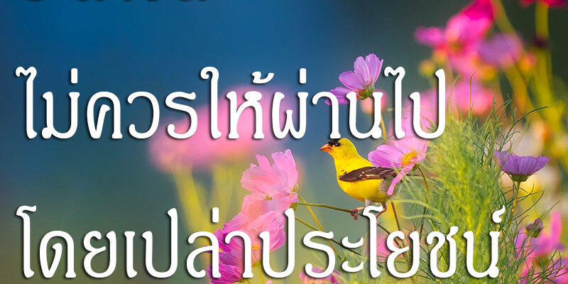 วันคืน ไม่ควรให้ผ่านไปโดยเปล่าประโยชน์