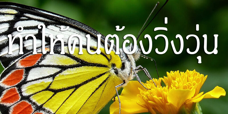 ความอยาก ทำให้คนต้องวิ่งวุ่น