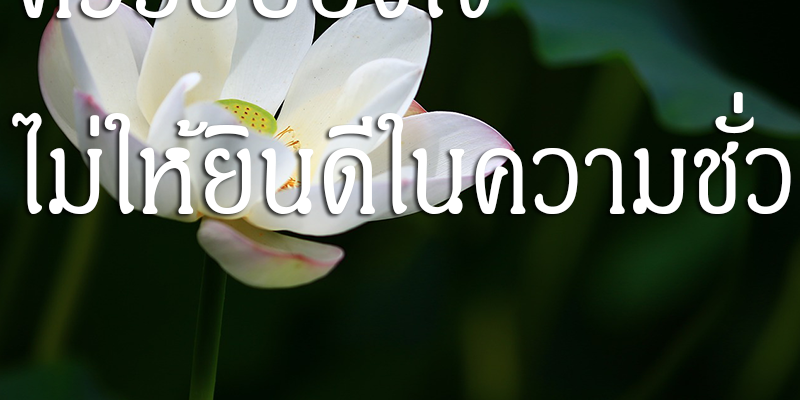 ควรยับยั้งใจ ไม่ให้ยินดีในความชั่ว