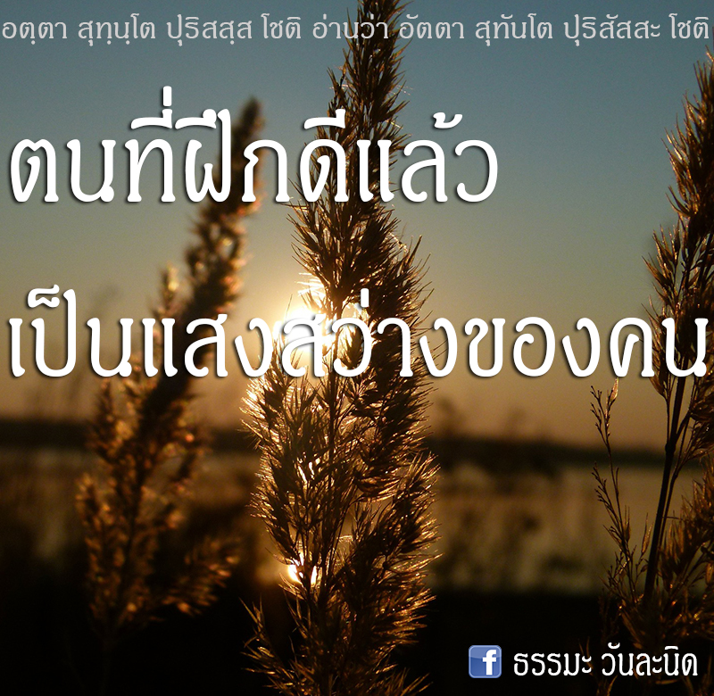 ตนที่ฝึกดีแล้ว เป็นแสงสว่างของคน